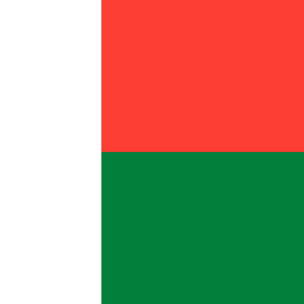 flag-of-Madagascar.