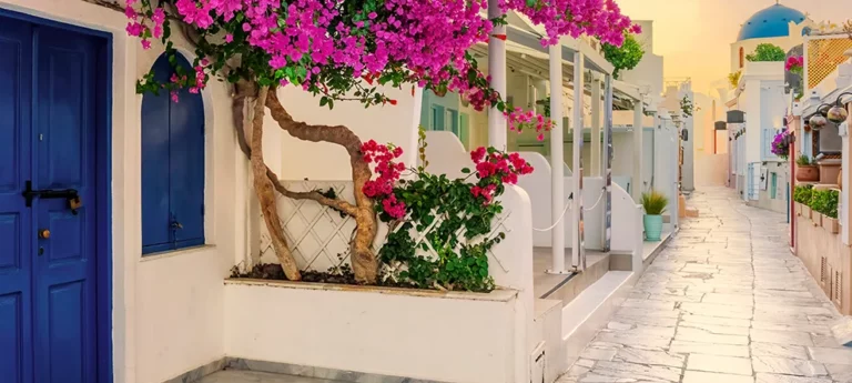 olia at santorini island greece