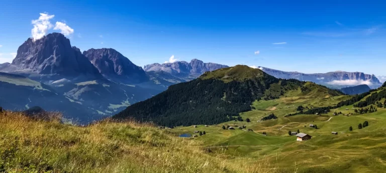 swis-alps 