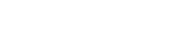GlobaleSIM